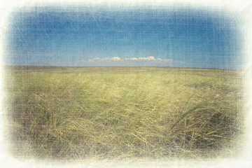 Abstract grunge countryside lanscape with paper texture