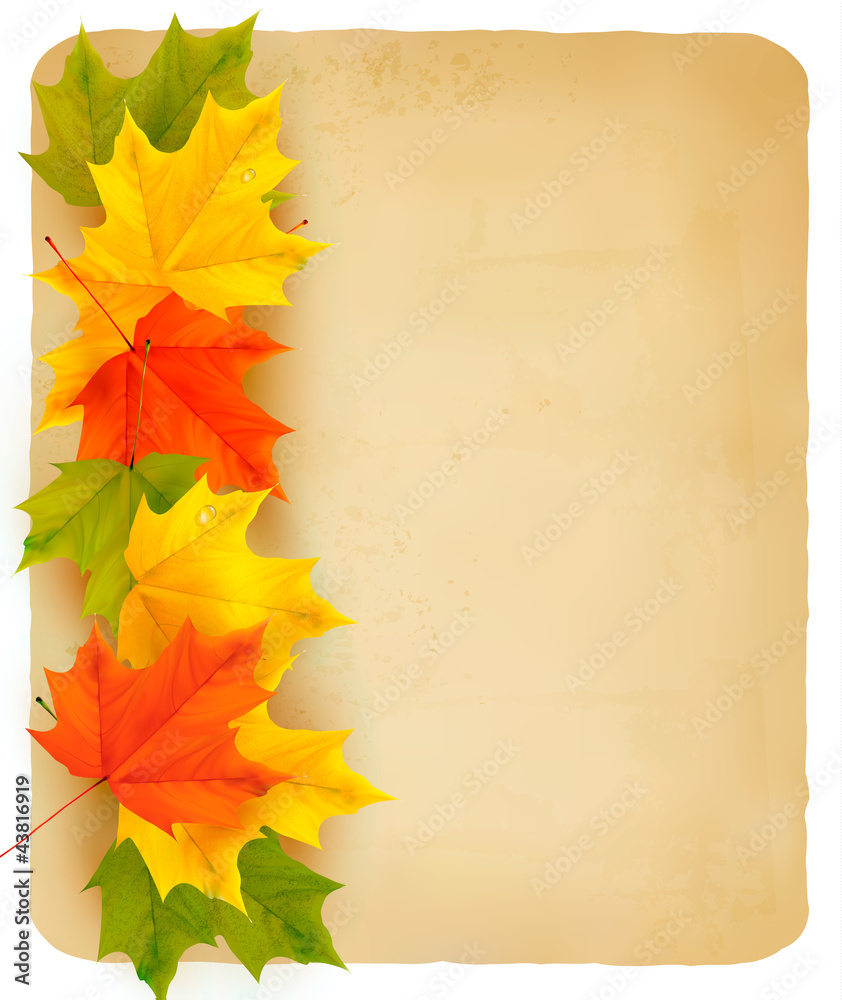 Poster autumn background with leaves back to school vector