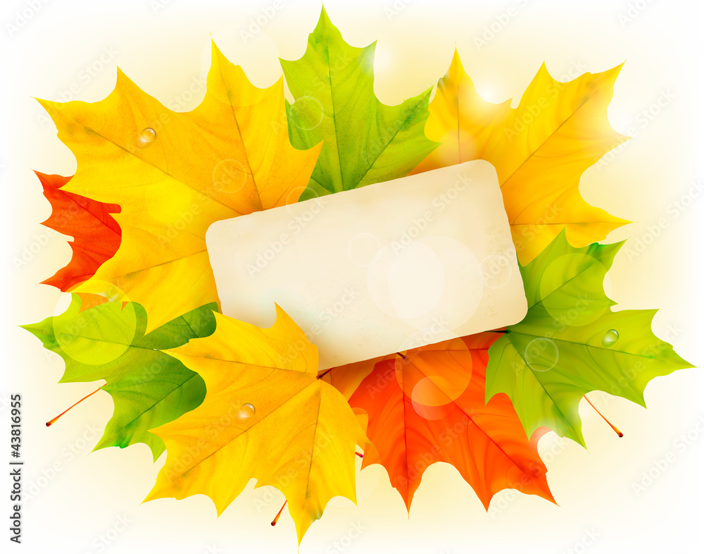 Poster autumn background with color leaves and card