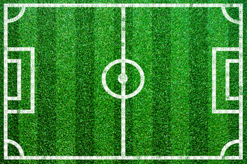 Grass football pitch.