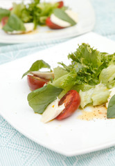 salad with mozzarella, tomatoes and basil