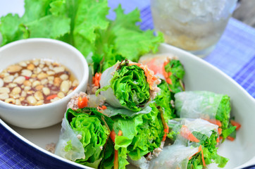 Southeast Asian Style Summer Roll