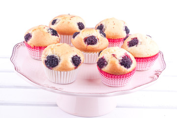 blackberry muffins