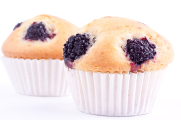 blackberry muffin