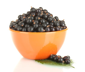 Fresh black currant in orange bowl isolated on white