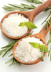 Salz in Löffeln mit frischem Basilikum, Thymian und Rosmarin isoliert