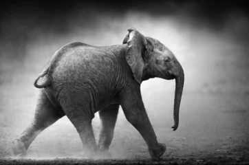 Crédence de cuisine en verre imprimé Noir et blanc Bébé éléphant qui court (traitement artistique)