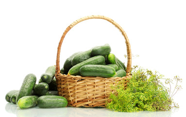 fresh cucumbers and dill in basket isolated on white