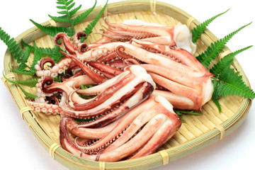 cuttlefish which boiled
