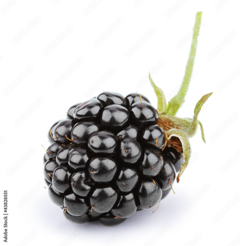 Wall mural blackberry with leaf isolated on white - Wall murals