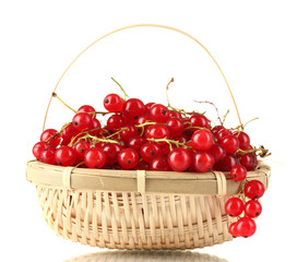 redcurrants in a basket isolated on white