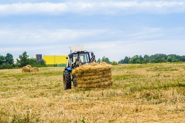 Obraz premium tractor with a hay