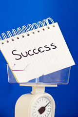 weight of success, balance measuring pros & cons