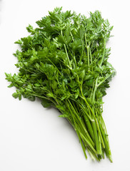 bunch of parsley on white