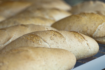 bread