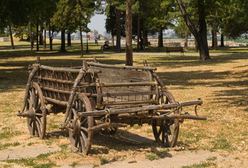 Horse and carriage © Pera Nikolic