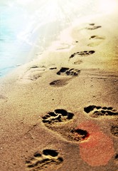 Footprints on the beach sand.