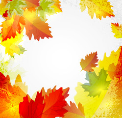 Naklejka na ściany i meble Vector abstract background with autumn leaves