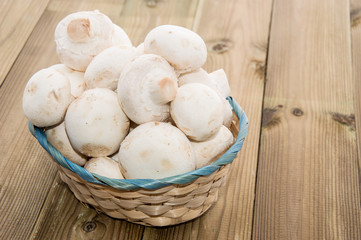 Group of Mushrooms in a basket