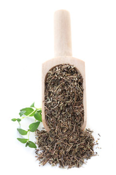 Dried Herbs Series - Thyme