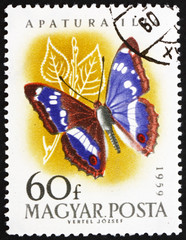 Fototapeta premium Postage stamp Hungary 1959 Leser Purple Emperor, Apatura Ilia, B