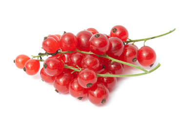 red currant isolated