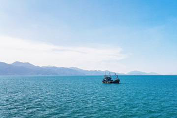 Obraz premium In the tropical sea