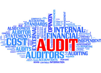 Audit