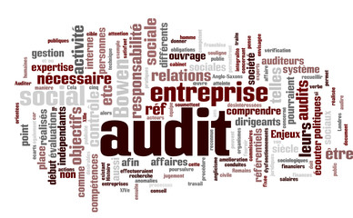 Audit