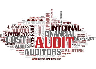 Audit (english)