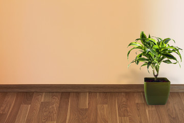 Wall and plant