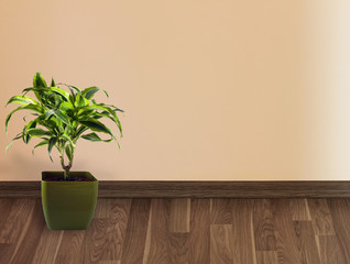 Wall and plant