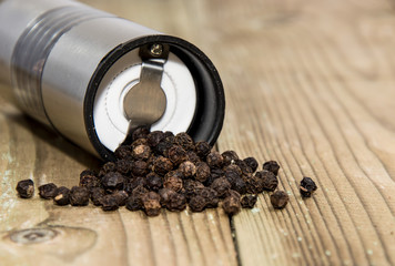Peppershaker with Peppercorns