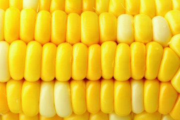 corn cob