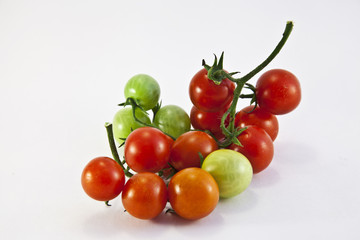 small cherry tomatoes on a branch