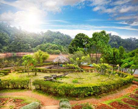 Garden in India