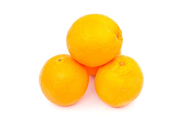many oranges on white paper