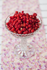 Bowl of wild strawberries