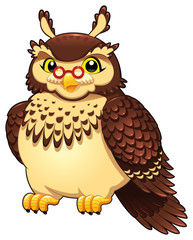 Funny owl. Cartoon and vector isolated character.