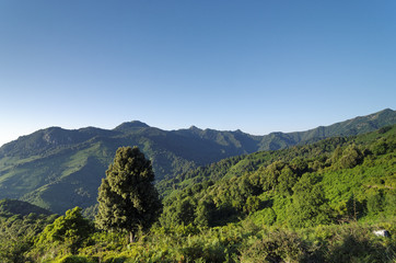 Fototapeta na wymiar Corse, montagne de Costa verde