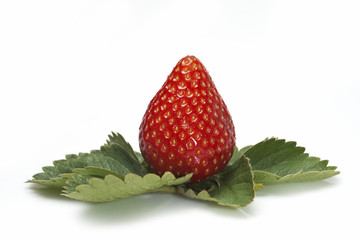 Fresa sobre sus hojas aislada en fondo blanco.