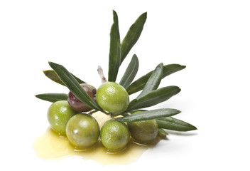 Aceitunas verdes para la producción de aceite de oliva.