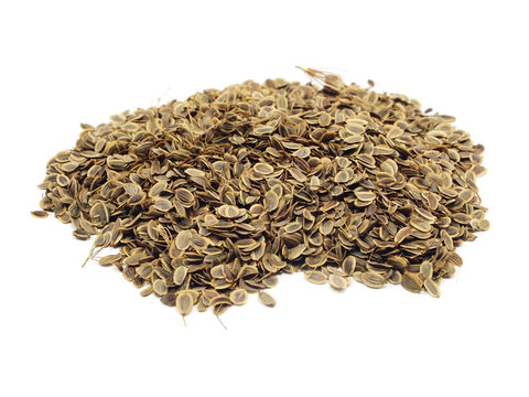 dill seed