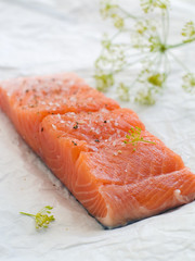 salmon