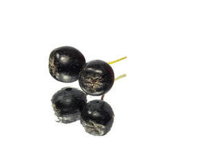 black chokeberry