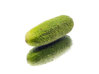 fresh organic cucumber