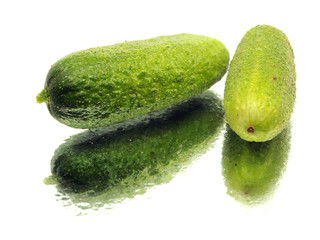 fresh organic cucumber