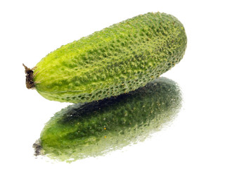 fresh organic cucumber