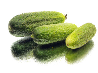 fresh organic cucumber