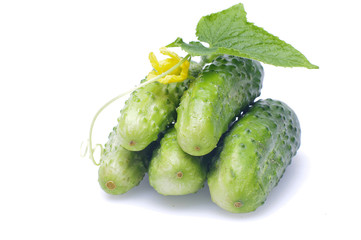 cucumber